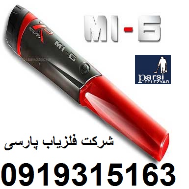 فلزیاب پین پوینتر 6-XP MI